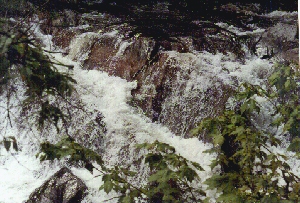 The Sinks