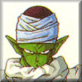Raza Namek