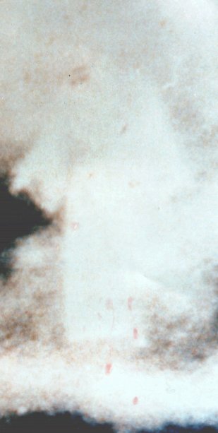 Picture of Angel