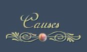 Link to Causes I Support Page 