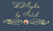 Link to WebSights by Selah