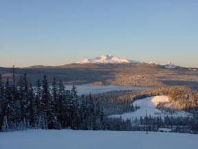 The view