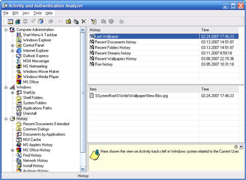 Activity and Authentication Analyzer (AAAnalyzer) appearance