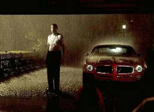 American Beauty  2