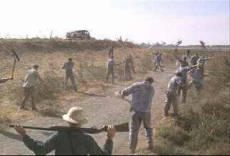 Cool Hand Luke 8