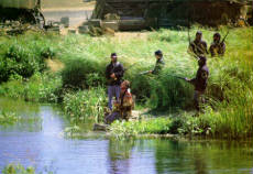 Dances With Wolves 10