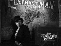Elephant Man 11