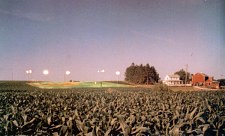 Field Of Dreams 5