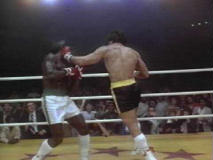 Rocky 8