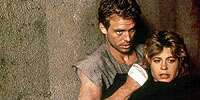 Terminator 10