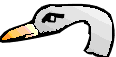 Hedges_c.gif (1955 bytes)