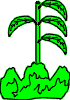 Risch_c.gif (2466 bytes)