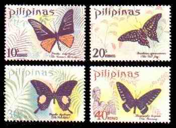 Butterflies