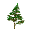 Family Tree