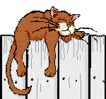 Picture of Cat on a fence