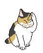 Picture of Cat Cleaning