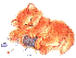 Picture of Cat sleeping
