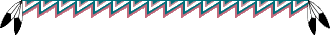 line with feathers at each end