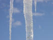 Picture of icicle