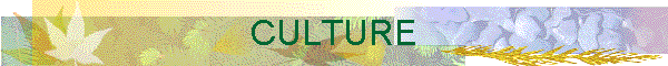 CULTURE