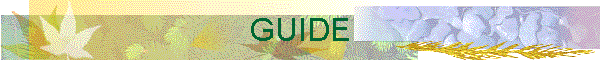 GUIDE
