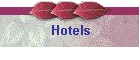Hotels