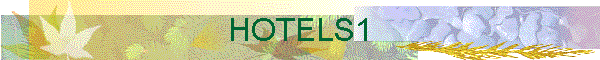 HOTELS1