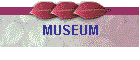 MUSEUM
