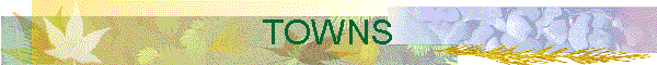 TOWNS