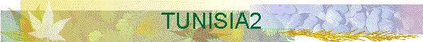 TUNISIA2