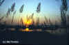 Sunset over Katerniaghat WLS