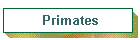 Primates