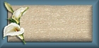 Blank Button