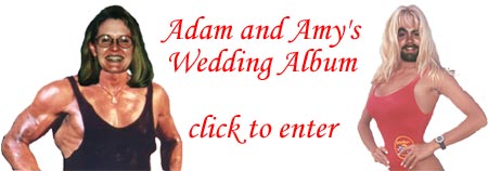 Click to Enter the Wedding Album