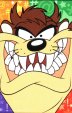 Tazmanian Devil Gallery