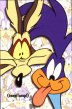 Road Runner & Wile E. Coyote Gallery