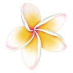 Hawaiian Clothing