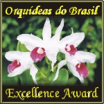 Orqudeas
do Brasil Award