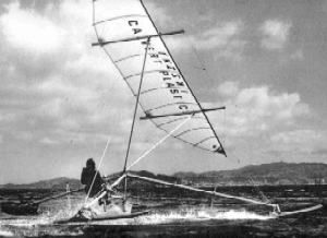 The Baverstock Aquarius