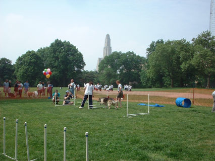 Agility &WSB