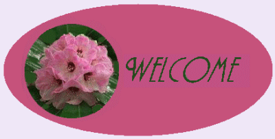 Rhod Banner