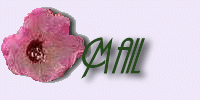 Mail