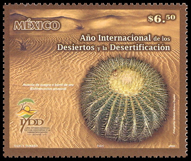 Ao Internacional de los Desiertos y la Desertificacin.