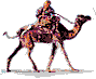 Picture of Animated Camel