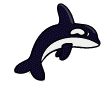 Picture of Whale