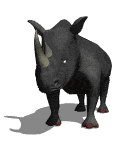Rhino.gif