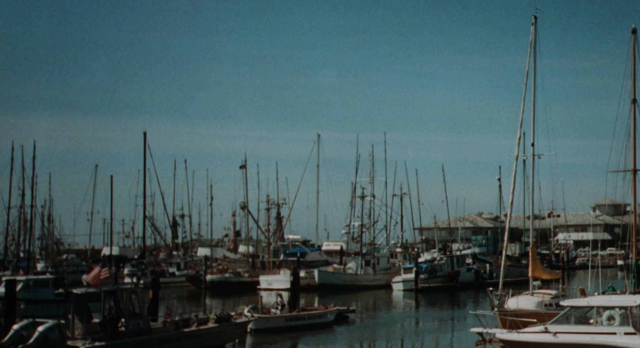 monterey.jpg (208095 bytes)