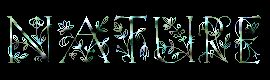 Nature 1 Backgrounds