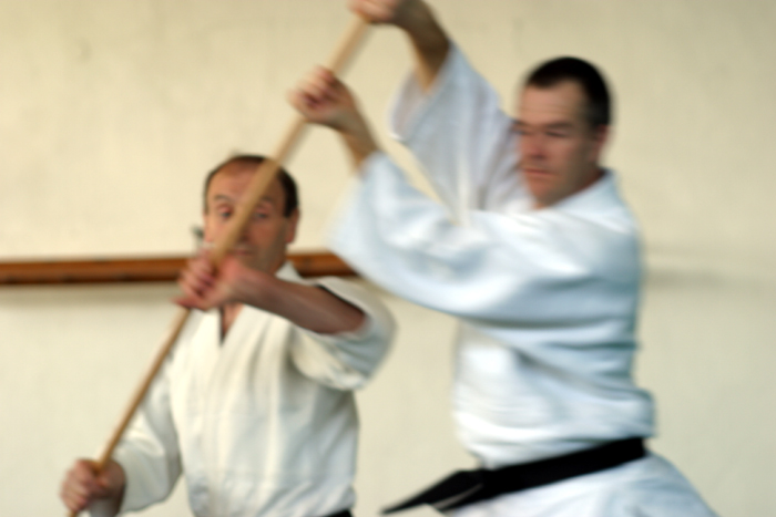 Aikido Blanes Campllong