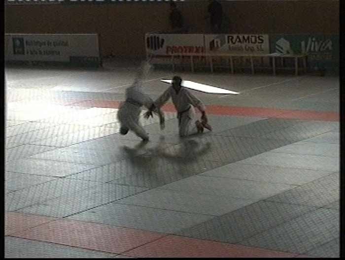 Aikido Blanes Campllong